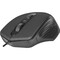 Фото - Миша Defender Datum MB-347 USB Black (52347) | click.ua