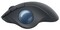 Фото - Мышь беспроводная Logitech Ergo M575 Mouse Graphite (910-006221) | click.ua