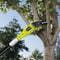 Фото - Висоторіз Ryobi RPP755E (5133002321) | click.ua
